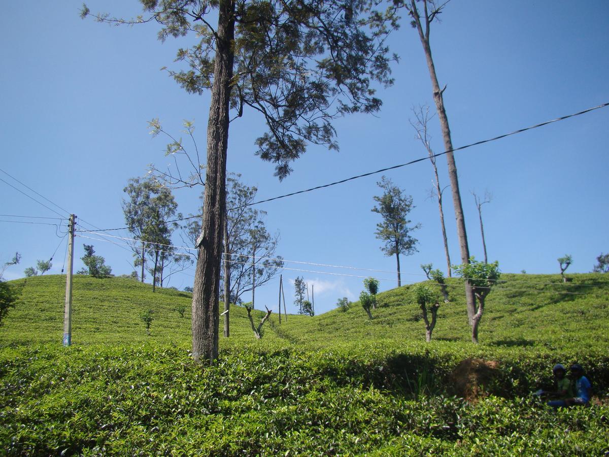 Апартаменты Ella Tea Land View Экстерьер фото