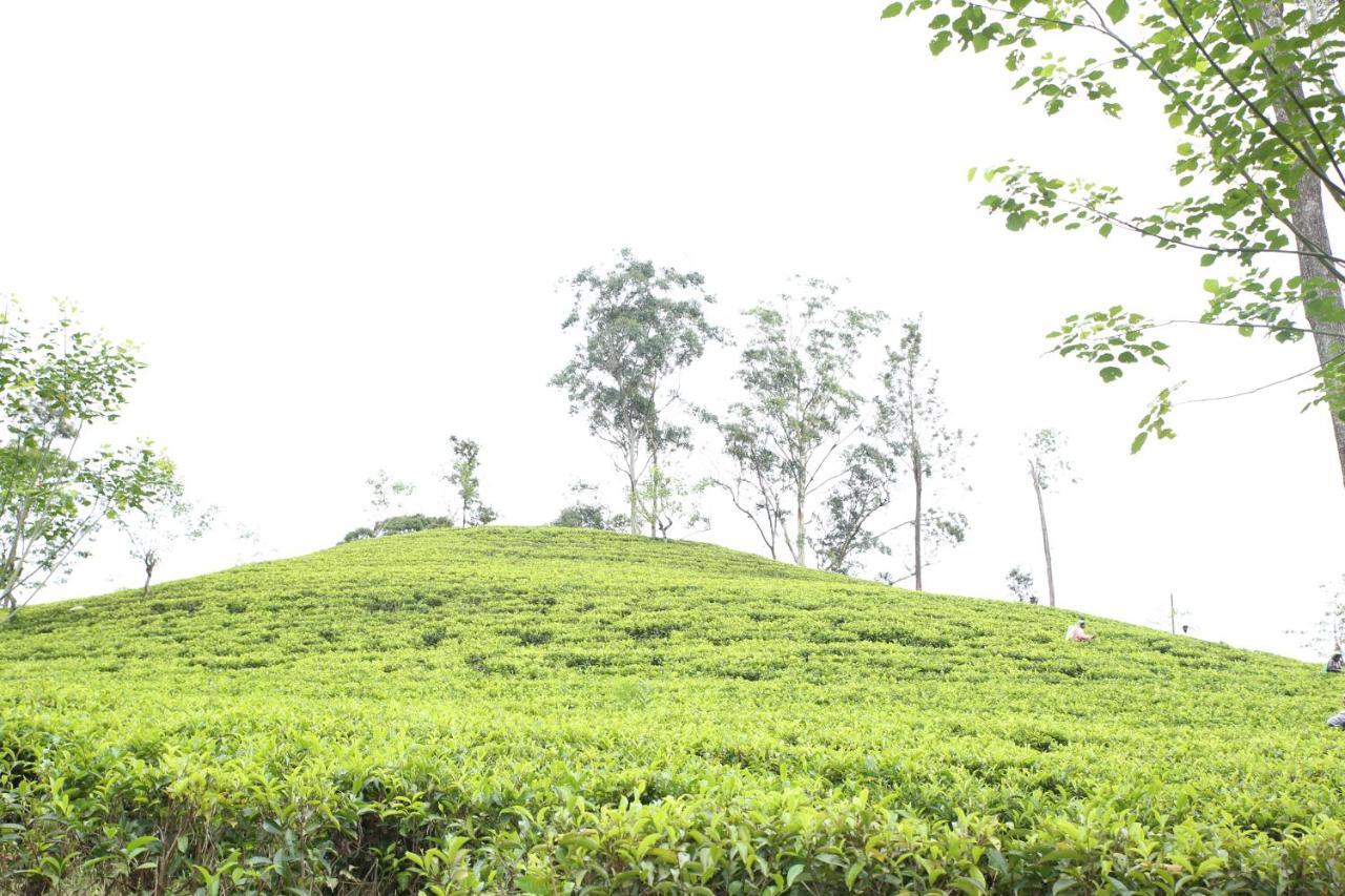 Апартаменты Ella Tea Land View Экстерьер фото