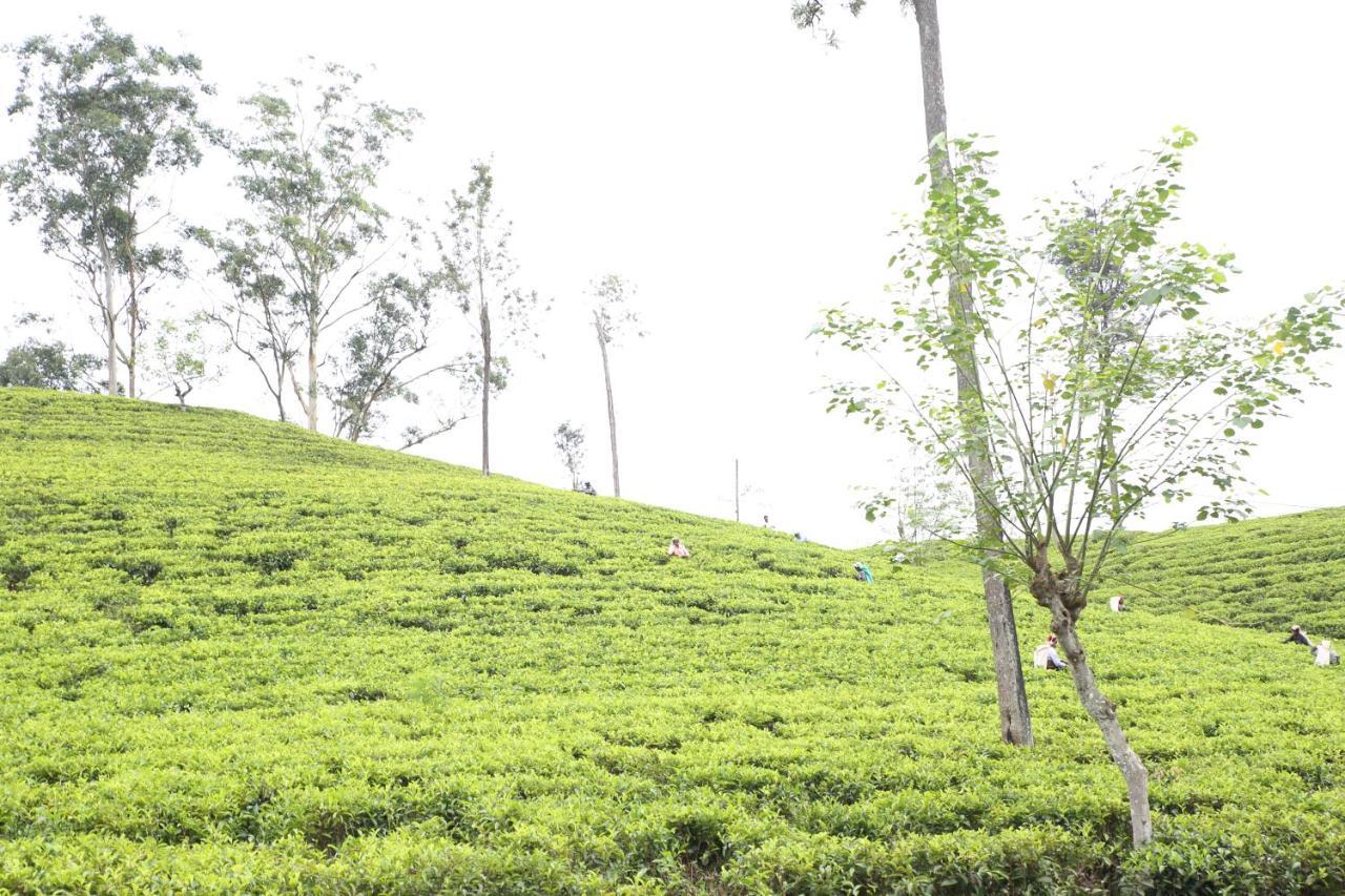 Апартаменты Ella Tea Land View Экстерьер фото